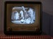 tv-tesla-4102u-manes-1